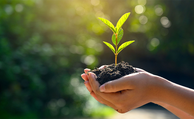 Zlepšiť environmentálne povedomie zamestnancov